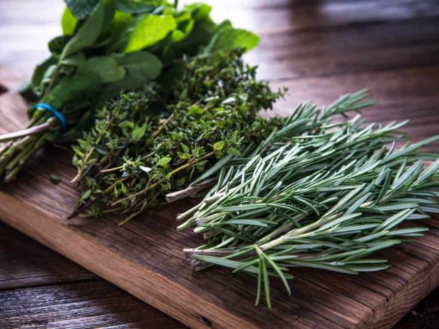 Several-herbs-on-cutting-board-apr23